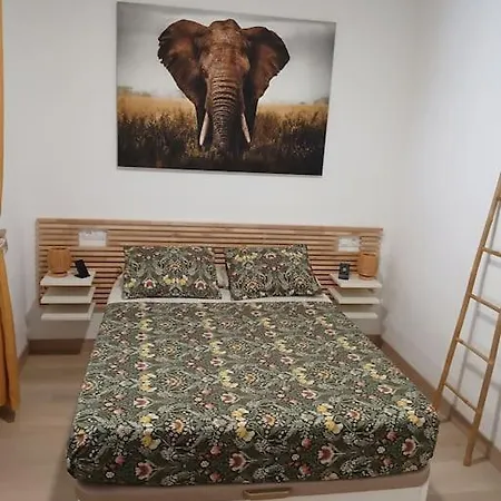 Apartment Elephant House A 10 Minutos Del Centro